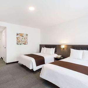 Handicap Double Room Two Double Beds Roll Shower Non-Smoking